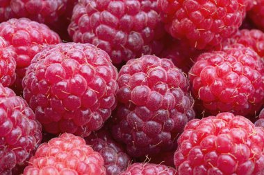 Büyük taze kırmızı ahududu meyveleri market arka planı olarak kullanılır.