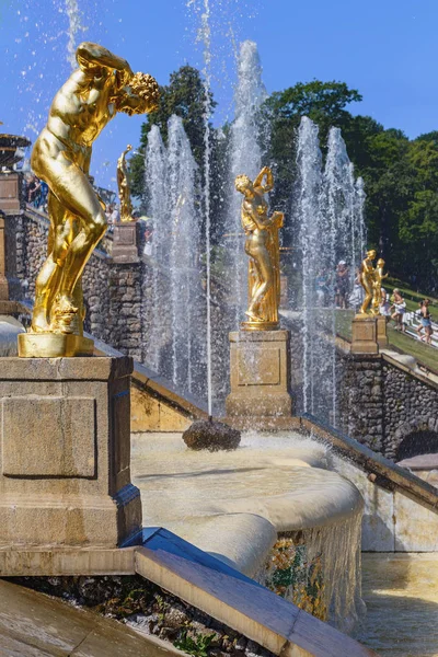 俄罗斯圣彼得堡 2019年7月27日 公园喷泉中的古代神的镀金雕塑 — 图库照片