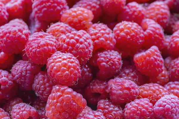 Fresh Ripe Red Raspberries Closeup Natural Background Stock Picture