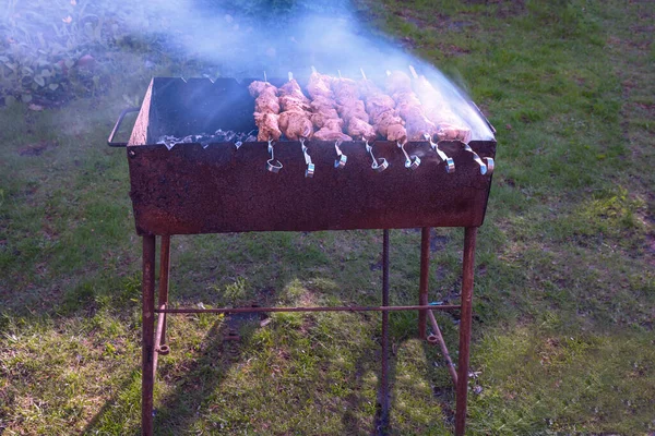 Old Retro Barbecue Tasty Skewers Skewers Summer Evening Garden — Stock Photo, Image