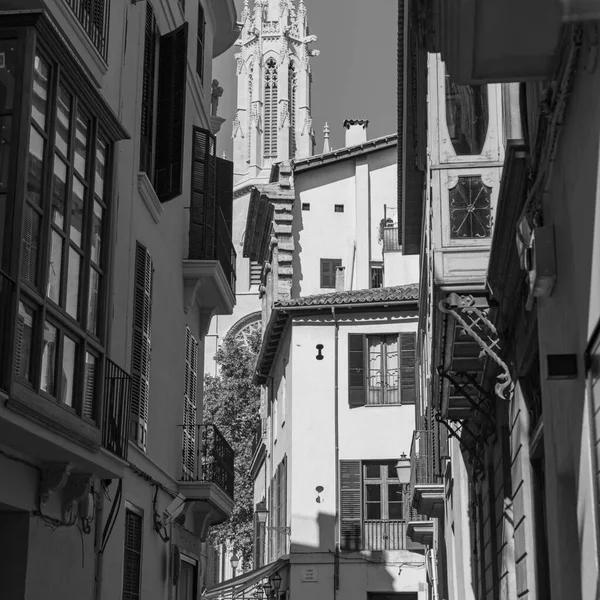 スペイン パルマ マリョルカのゴシック様式の大聖堂の狭い古い通りからの眺め — ストック写真