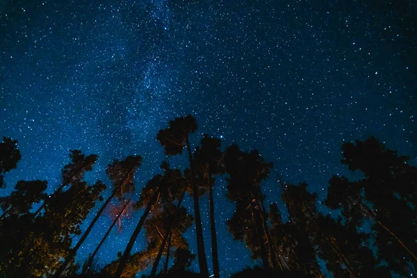 꼭대기가 보이는 별들이 보이는 밤하늘 — 스톡 사진