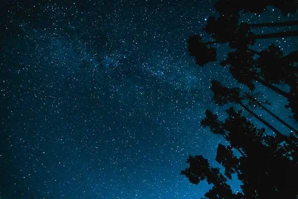 Ночное Небо Видимыми Звездами Отдаленном Месте Можно Увидеть Верхушки Деревьев — стоковое фото
