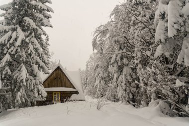 Kışın ormandaki ahşap ev