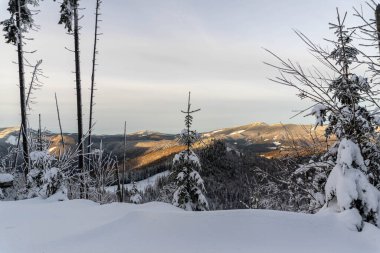 Dağ zirvelerinin arka planında kar köknar ağaçlarını kapladı.