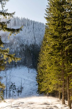 Güneşli bir kış günüydü. Dağın tepelerinde ağaçlar vardı..