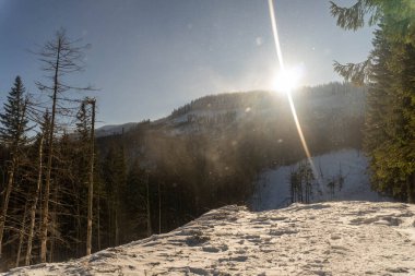 Güneşli bir kış günüydü. Dağın tepelerinde ağaçlar vardı..