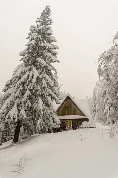 Деревянный Дом Зимнем Лесу — стоковое фото