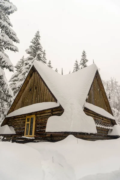 Дерев Яний Будинок Зимовому Лісі — стокове фото