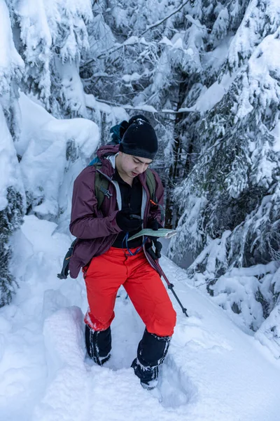Kışın çam ormanında dikilen adam