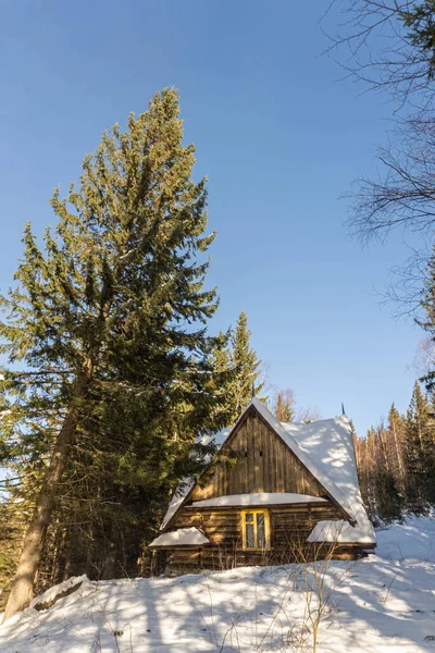 Kışın ormandaki ahşap ev