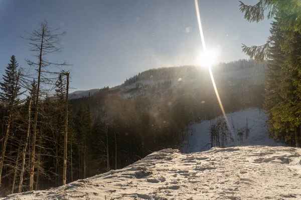 Güneşli bir kış günüydü. Dağın tepelerinde ağaçlar vardı..