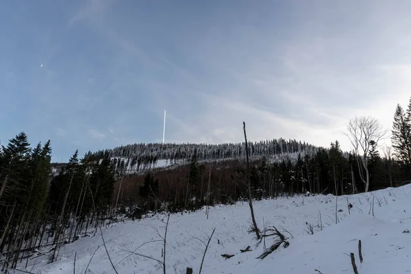 Сонячний Зимовий День Деревами Тлі Гірських Вершин — стокове фото