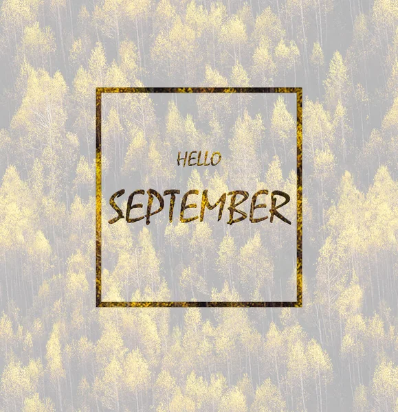 Hello September Yellow Trees Background Graphic Design — Stock Photo, Image