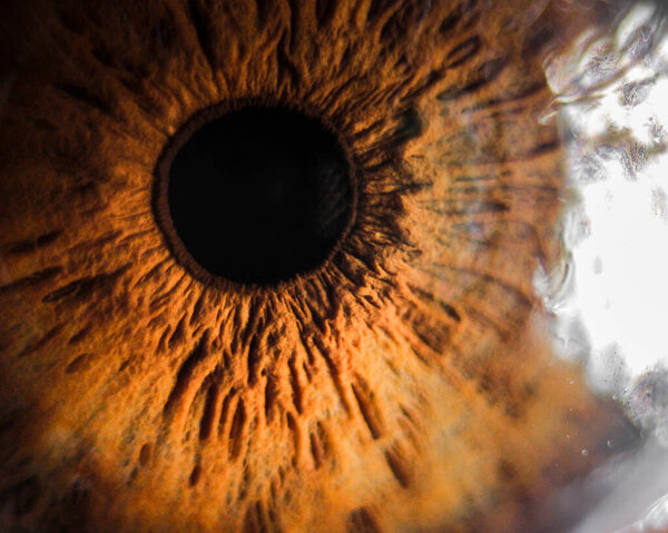 super macro eye and iris