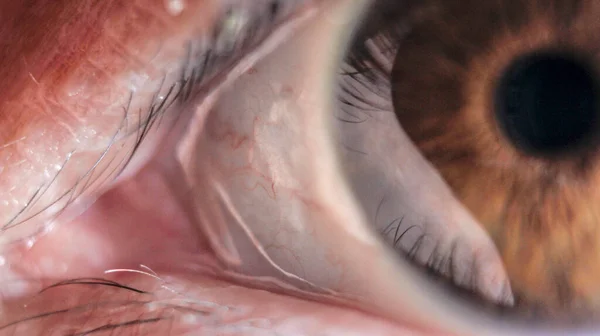 Super Macro Eye Veins — Stock Photo, Image