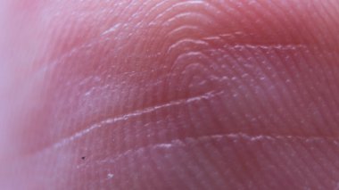 süper makro parmak izi dokusu