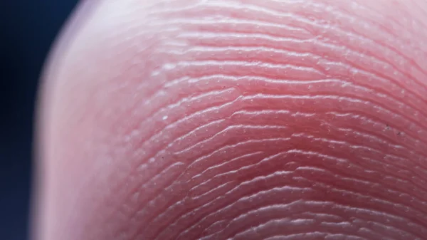 Super Macro Finger Print Texture — Stock Photo, Image