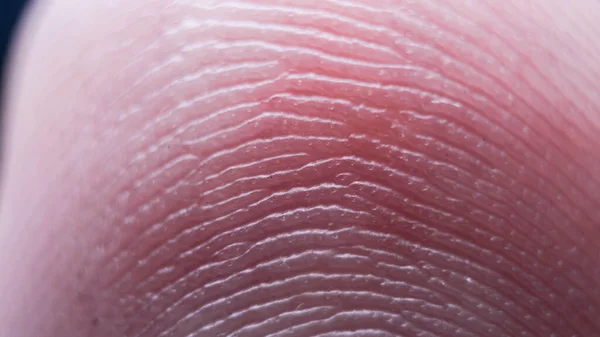 Super Macro Finger Print Texture — Stock Photo, Image