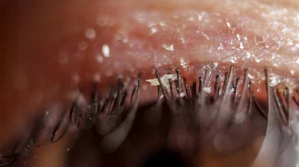 Super Macro Eye Eyelash — Stock Photo, Image