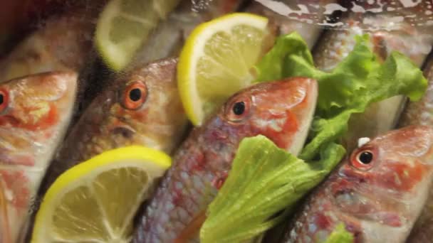 Frischer Fisch Auf Dem Markt — Stockvideo