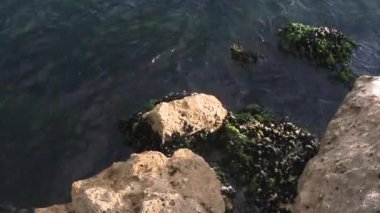 Küçük dalgalar ve kayalar