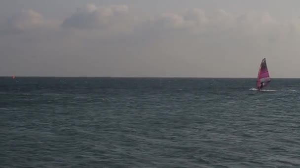 Серфингисты Проходят Мимо — стоковое видео