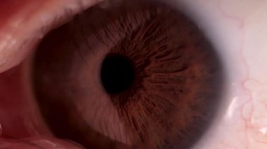 Süper makro göz ve göz hareketi