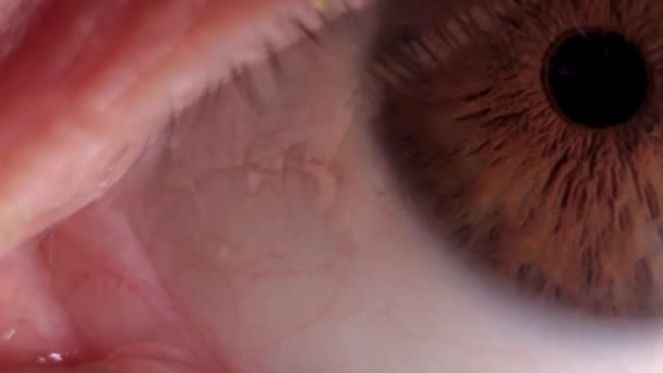 Super Macro Eye Iris Movement — Stock Video