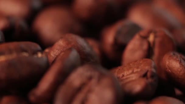 Roasted Coffee Beans Macro Shot — Stock Video