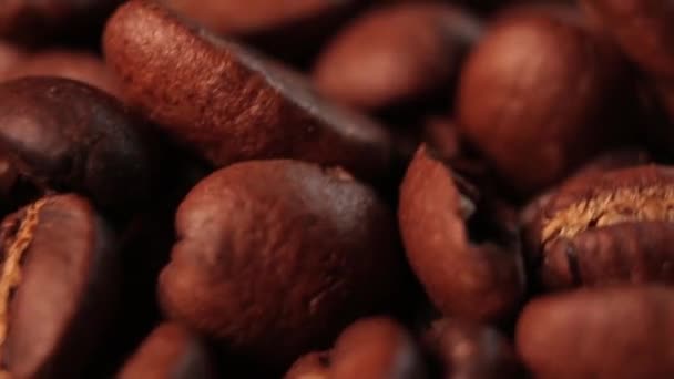 Kavrulmuş Kahve Çekirdekleri — Stok video