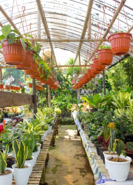 arka plan olarak güzel bahçe mağazası