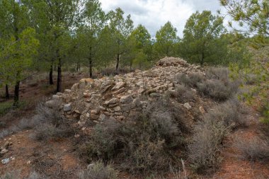 Yaşlı sarnıç bir çam ormanının içine inşa edilmiş toprak bitki örtüsüyle kaplı ve gökyüzü bulutlu.