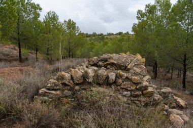 Yaşlı sarnıç bir çam ormanının içine inşa edilmiş toprak bitki örtüsüyle kaplı ve gökyüzü bulutlu.