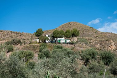 Köy evi ağaçlarla çevrili, çam ve zeytin ağaçları var, dağ çalılarla kaplı ve gökyüzü az bulutla mavi