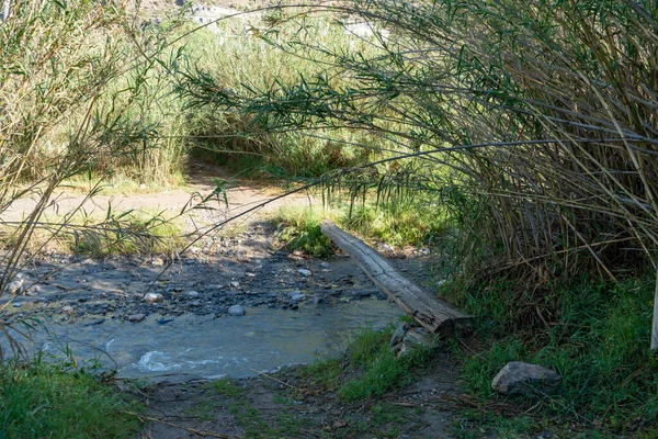 Tronco Madera Para Cruzar Río Que Lleva Agua Hay Cañaverales —  Fotos de Stock