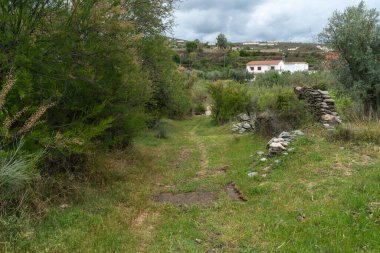 Tarlaya giderken, birkaç kır evi var, bitki örtüsü yeşil, ağaçlar var.