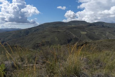 Bitkilerle kaplı dağlık bir arazi, gökyüzü bulutlu.
