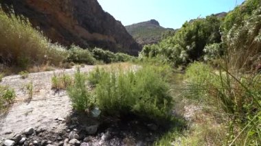Nehirdeki havayla taşınan bitki örtüsü, dağlık bir alandır. Yerde bitki örtüsü, kum ve taşlar vardır. Gökyüzü açıktır.