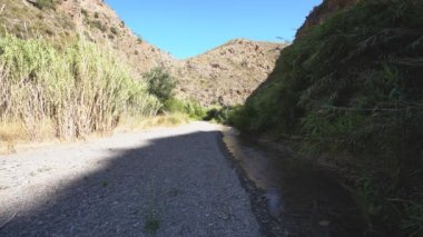 Nehirde kristal berrak su akıntısı, nehir kıyısında bol miktarda çalı ve ağaç bitkisi var.