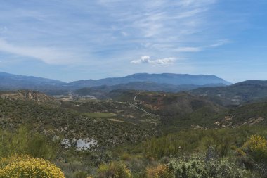 Dağlık bölgede bitki örtüsü ve bulutlu gökyüzü var. Arazinin farklı gölgeleri var. Ön planda sarı çiçekli çalılar var.