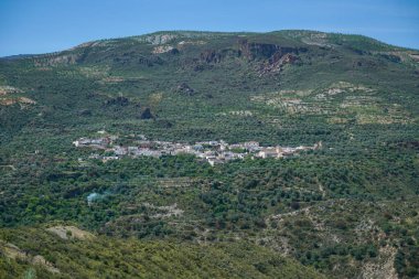 Dağın kenarındaki kasaba zeytin ağaçlarıyla çevrili, gökyüzü temiz.