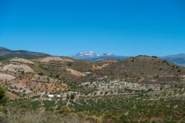 Ağaçlar ve bitki örtüsüyle dağlık bölgede, en yüksek dağda kar var. Zirvesinde, ağaçların arasında bir çiftlik evi ve gökyüzü mavi.