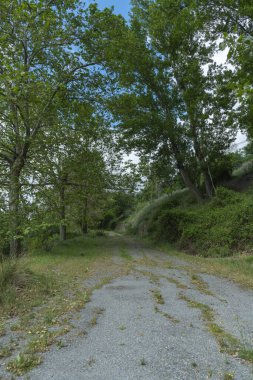 Bitkilerle çevrili eski yol, taş bir duvar ve yeşil ağaçlar var.
