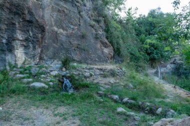 Arazide bir kaya duvarı var. Etrafı çimenler, çalılar ve ağaçlarla çevrili. Yerde taşlar var ve gökyüzü mavi.