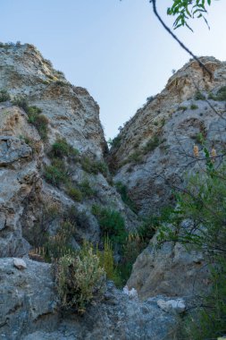 Dağlık bir bölgede vadi, bitki örtüsü ve bir ağacın çeşitli dalları var, gökyüzü mavi.