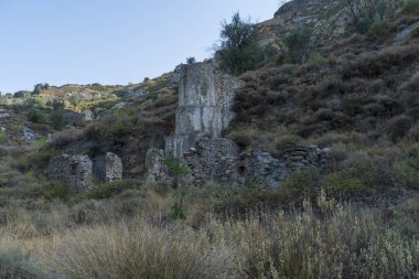 Eski bir değirmenin kalıntıları, yapı taştan yapılmış, çevrede bitki örtüsü var.
