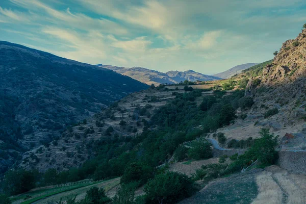 Área Montanhosa Sul Espanha Montanha Coberta Com Vegetação Árvores Céu — Fotografia de Stock