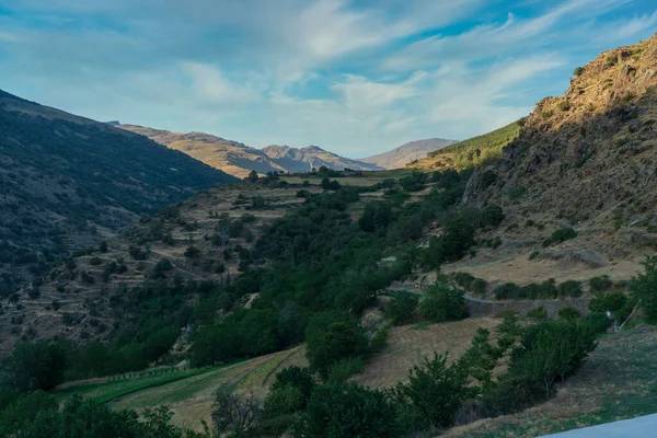 Ορεινή Περιοχή Στη Νότια Ισπανία Βουνό Καλύπτεται Βλάστηση Και Δέντρα — Φωτογραφία Αρχείου