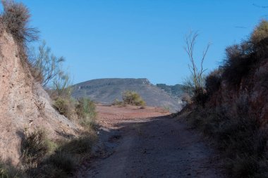 Güney İspanya 'nın dağlık arazisi. Etrafında bitki örtüsü olan toprak bir yol var. Gökyüzü mavi.
